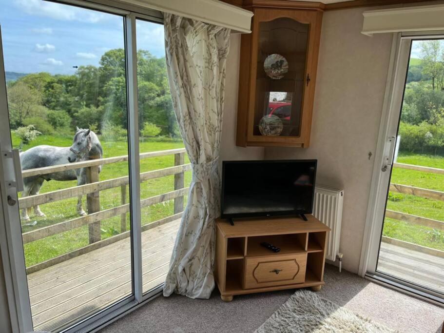Farm Stay Caravan On Working Farm Dacre  Exterior foto